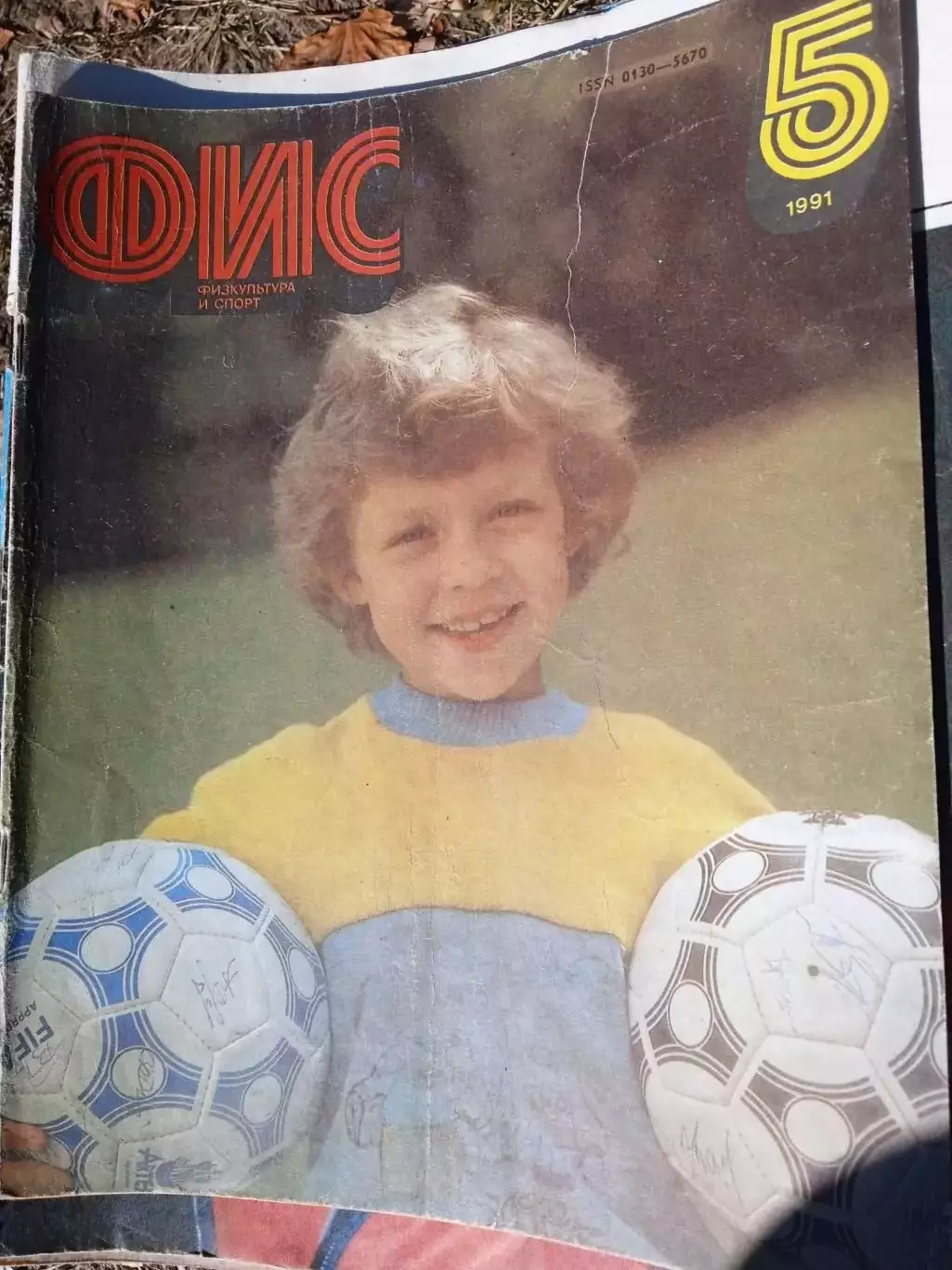 ЖурналФизкультура и спорт-1991/5