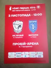 Пробий-Виктория Сумы-2.11.2025.