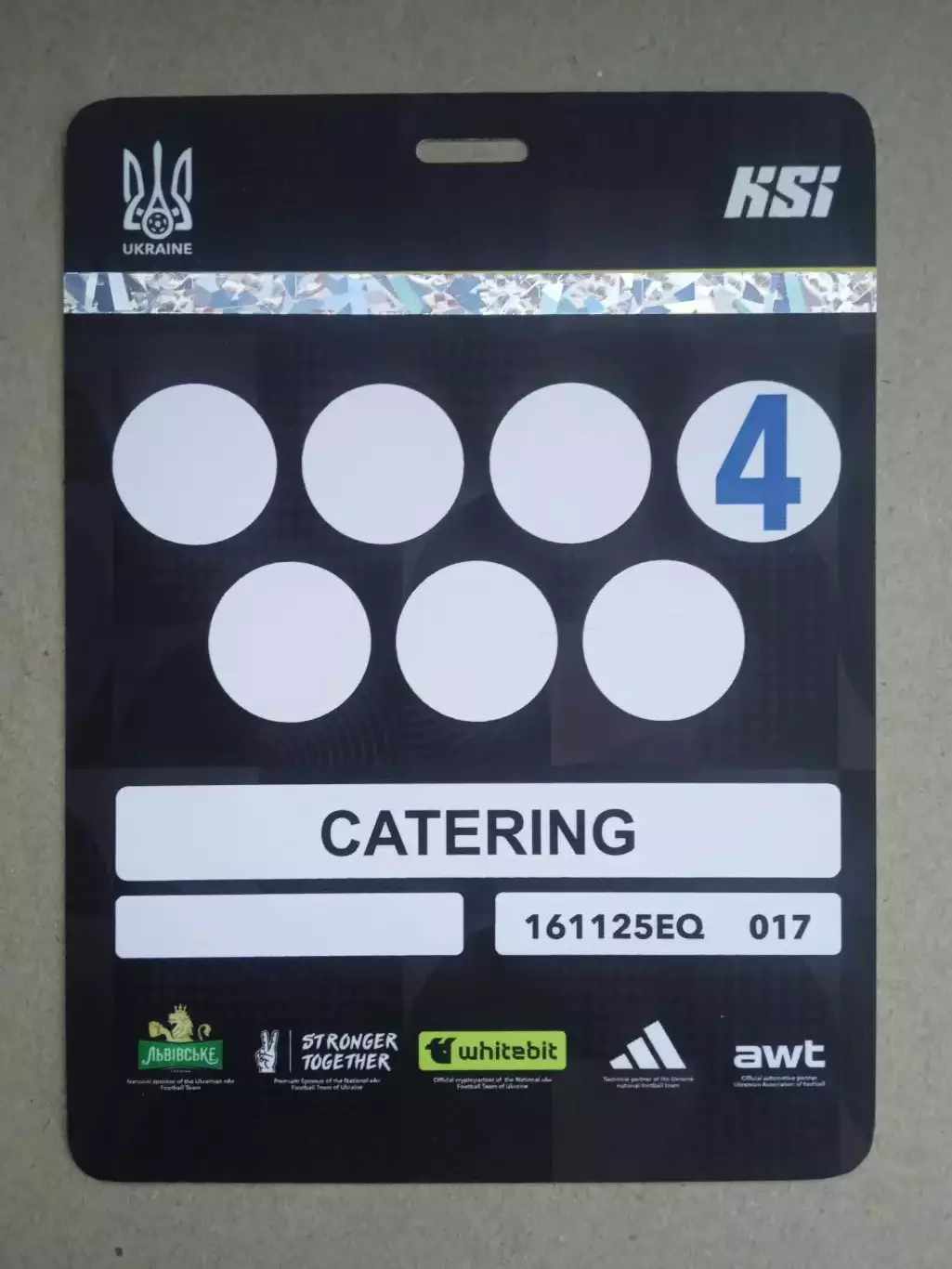 Украина-Исландия-16.11.2025(4)