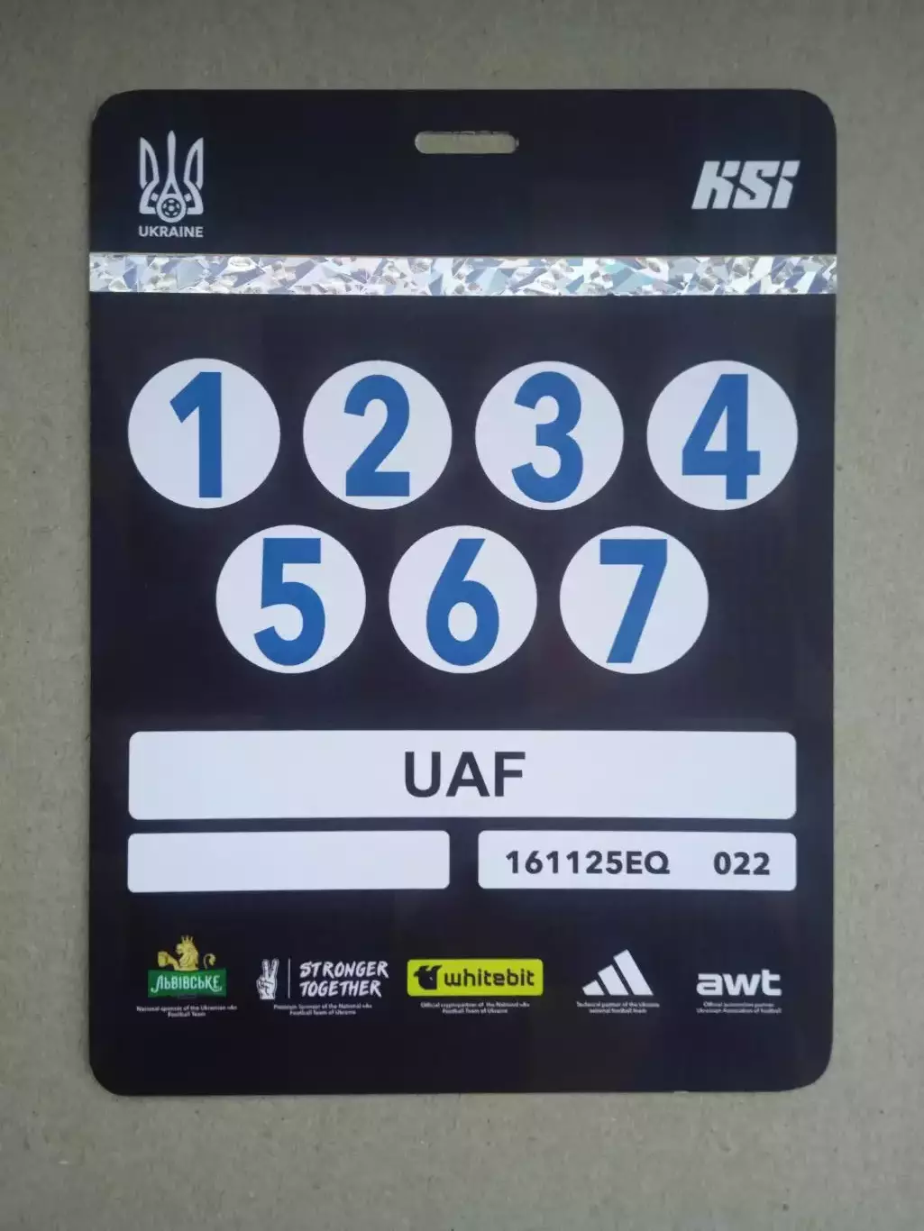 Украина-Исландия-16.11.2025(10)