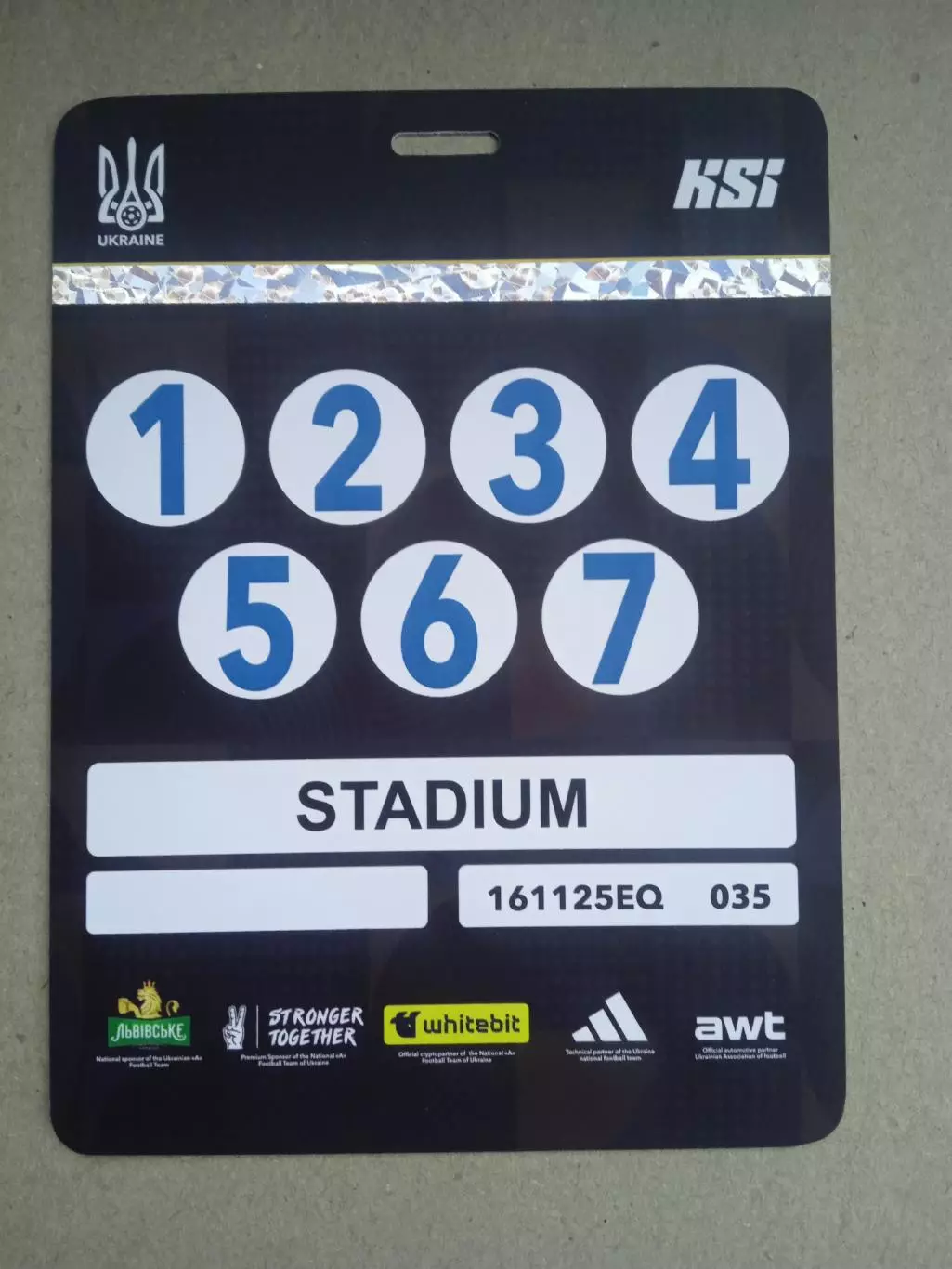 Украина-Исландия-16.11.2025(11)