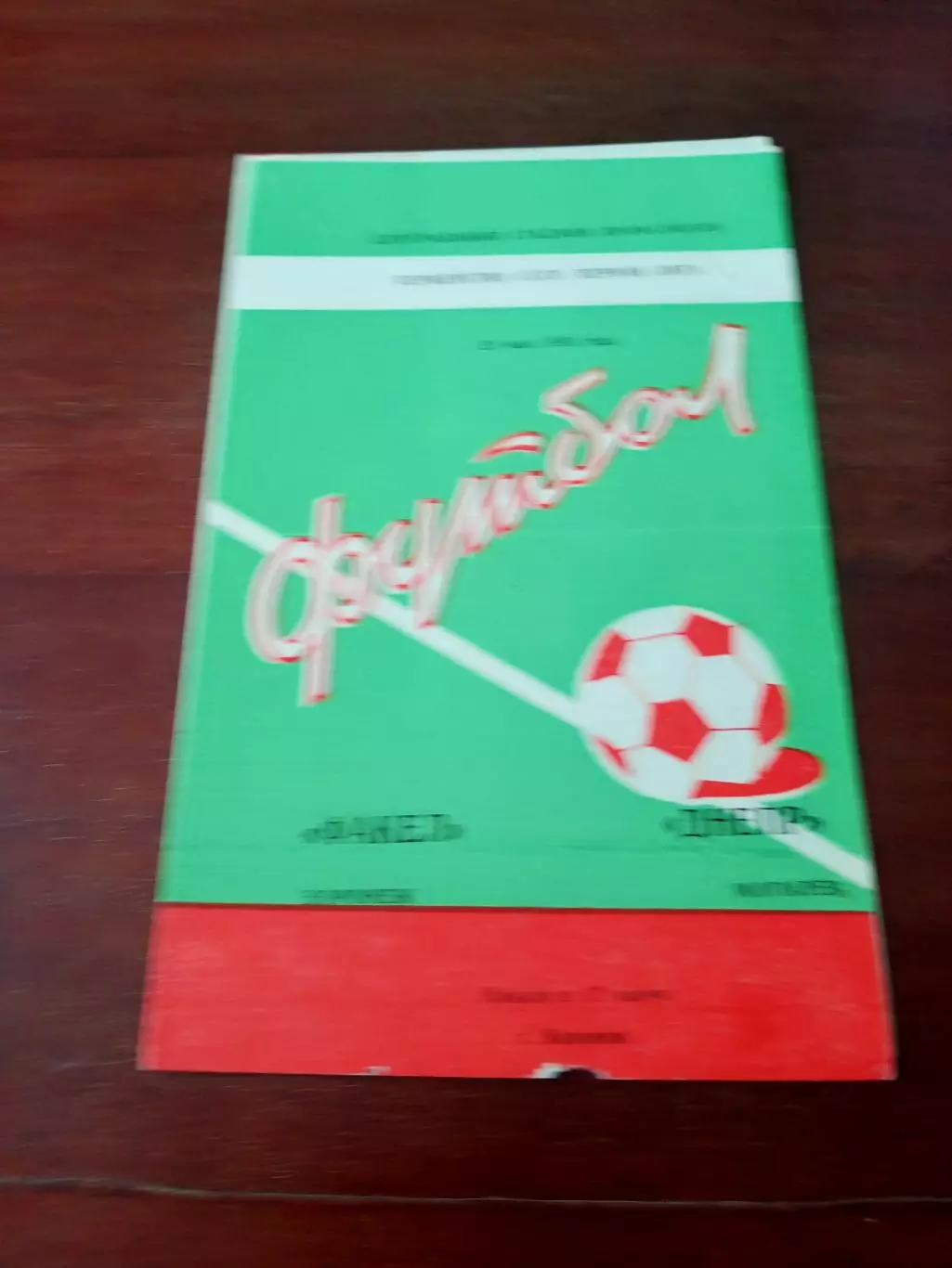 АКЦИЯ. Факел Воронеж - Днепр Могилёв. 21 мая 1983 год