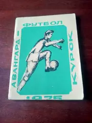 Футбол. Курск. 1975 год