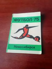 Футбол. Новосибирск. 1975 год