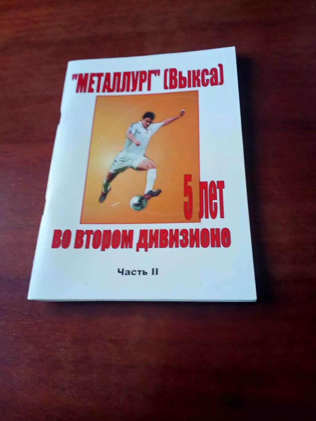 ФК Металлург Выкса. 5 лет во втором дивизионе. 2009 год