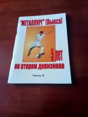 ФК Металлург Выкса. 5 лет во втором дивизионе. 2009 год