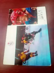 Юрий Лебедев