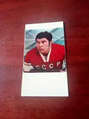 Виктор Коноваленко