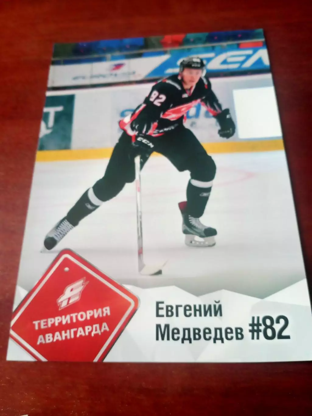 Евгений Медведев - Территория Авангарда