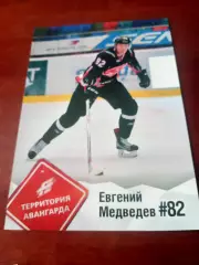 Евгений Медведев - Территория Авангарда