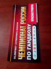 Билет. Гандбол. Скиф Омск - Зенит СПб