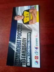 Билет. Гандбол. Скиф Омск - Чеховские Медведи