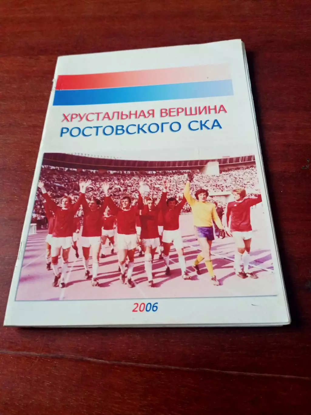 Хрустальная вершина Ростовского СКА.