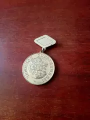 Медаль - Чемпион спартакиады