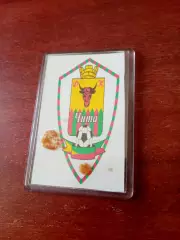 МАГНИТ - ФК Чита