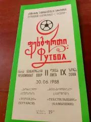 Торпедо Кутаиси - Текстильщик Камышин. 30 июня 1988 год