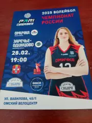 Омичка - Заречье-Одинцово. 28 февраля 2025 год