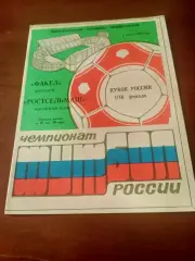 Кубок России. Факел Воронеж- Ростсельмаш. 5 июля 1993 год