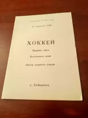 Хоккей. Хабаровск. 1990 год, итоги первого этапа