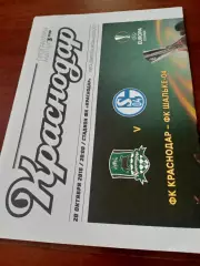 ФК Краснодар - Шальке-04 Германия. 20 октября 2016 год