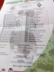 Протокол матча. Торпедо-Металлург Москва - Кр.Советов Самара. 5.05.2004 г