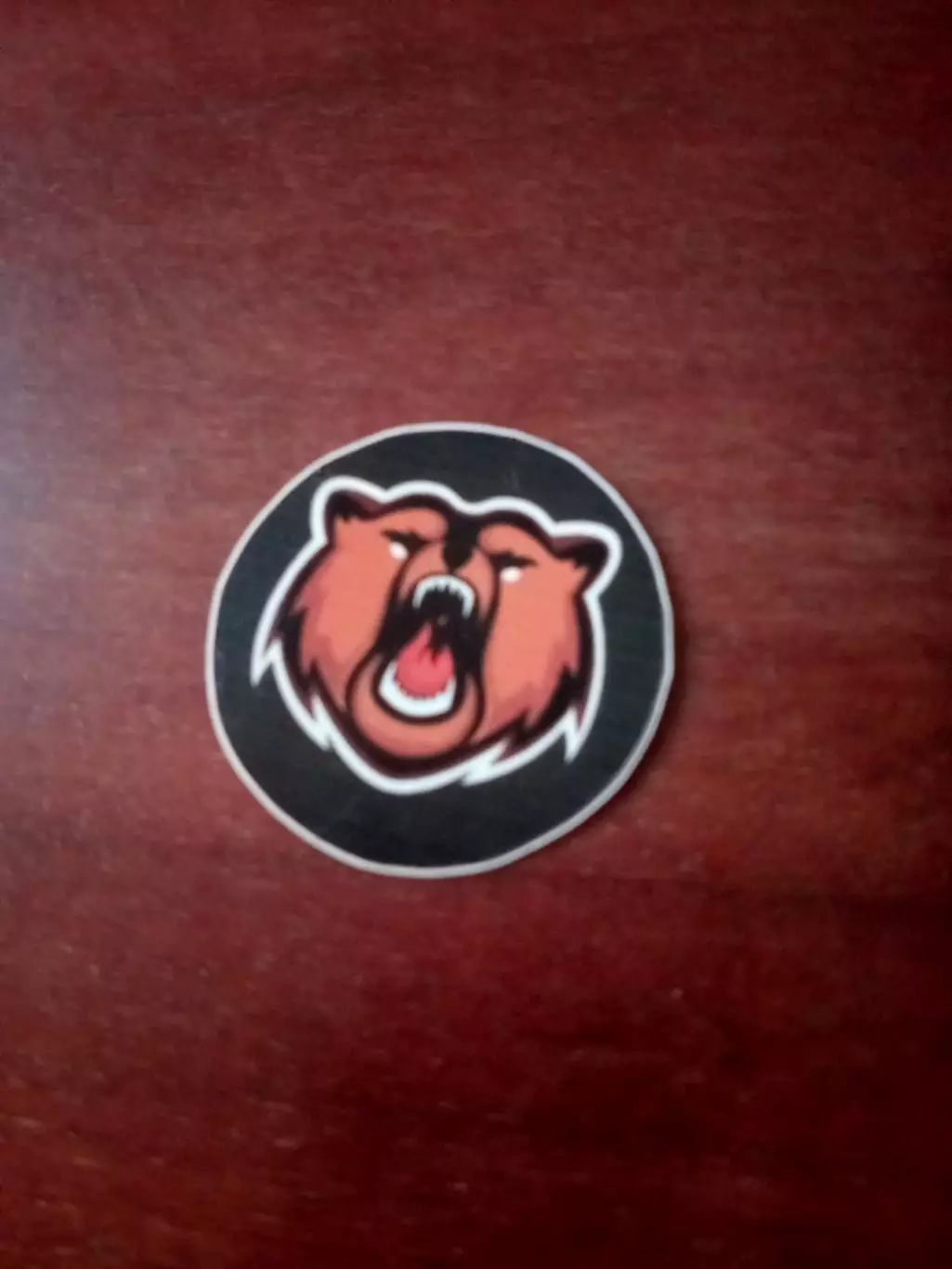 Наклейка. ХК Амур Хабаровск