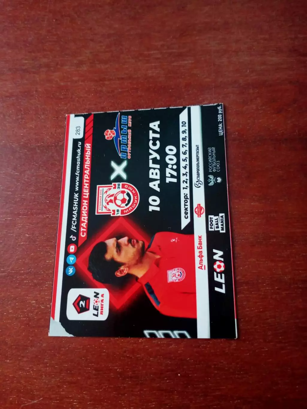 Билет. Машук-КМВ Пятигорск - Иртыш Омск. 10 августа 2024 год