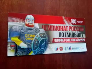 Гандбол. Скиф Омск - Пермские Медведи. 5 ноября 2022 год - БИЛЕТ