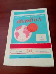 Ростсельмаш - Десна Брянск. 14 апреля 1976 год