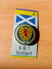 Футбол. Чемпионат Европы-2024. Сборная Шотландии