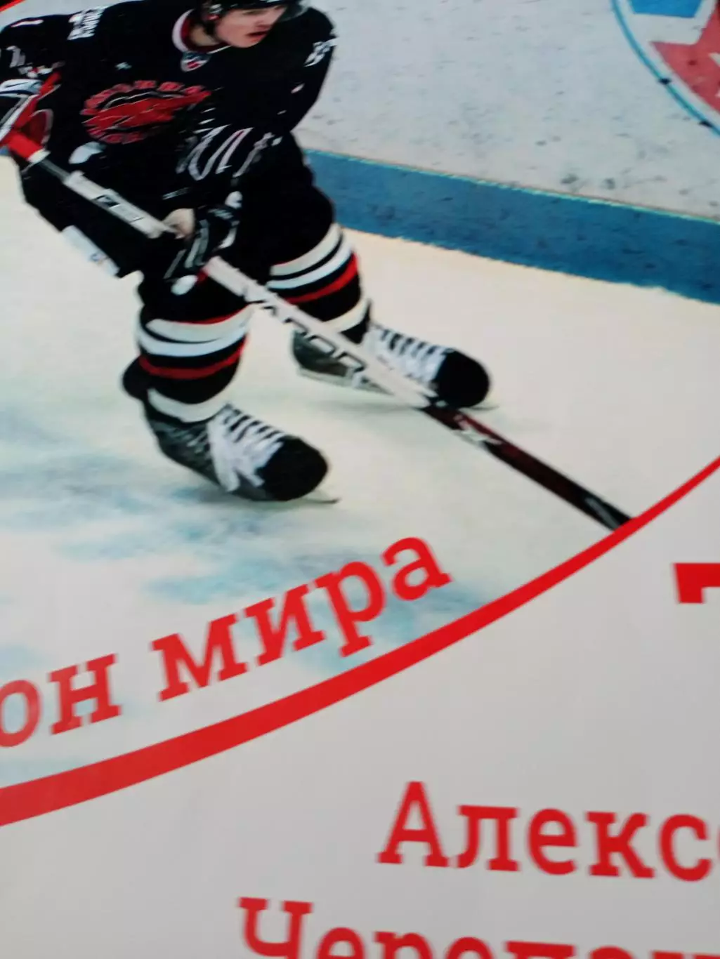 Алексей Черепанов - чемпион мира