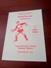 Кубок России. Турбостроитель Калуга - Динамо Брянск. 3 мая 1995 год