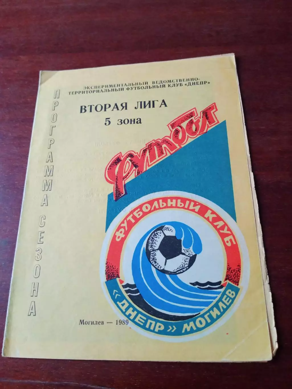 ФК Днепр Могилёв. 1989 год