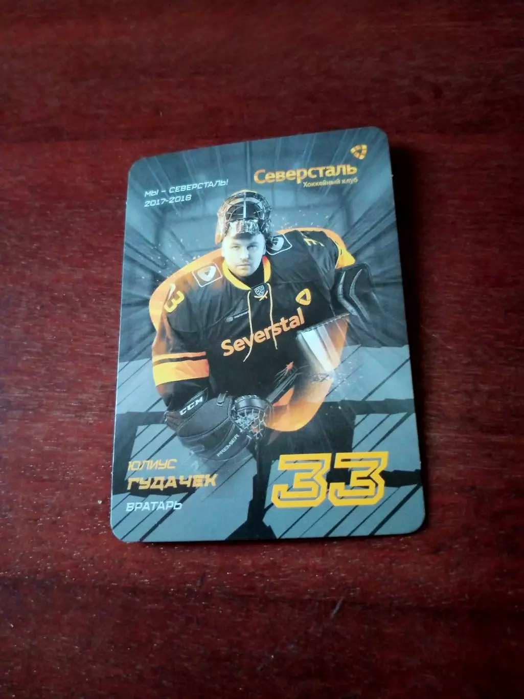 Северсталь Череповец (сезон-2017/2018). Юлиус Гудачек