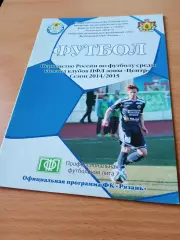 ФК Рязань - Динамо Брянск. 29 октября 2014 год