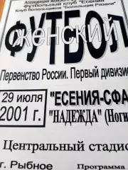 Есения-СФАТ Рязанская область - Надежда Ногинск. 29 июля 2001 год