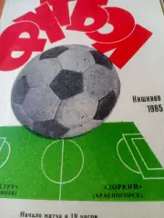 Кубок СССР. Нистру Кишинев - Зоркий Красногорск. 24 июня 1985 год