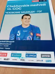 Чеховские Медведи - ГК ГОГ Дания. 16 ноября 2019 год