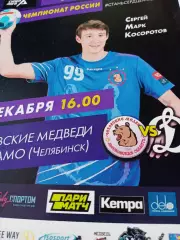 Чеховские Медведи - Динамо Челябинск. 8 декабря 2019 год