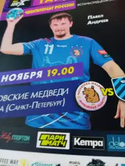 Чеховские Медведи - Нева Санкт-Петербург. 13 ноября 2019 год