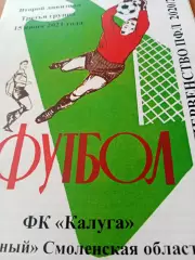 ФК Калуга - Красный Смоленская область. 15 июня 2021 год