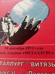 Металлург Выкса - Витязь Подольск. 19 сентября 2013 год