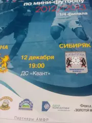 Кубок России. Дина Москва - Сибиряк Новосибирск. 12.12.2012 год