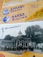 Динамо Брянск - Факел Воронеж. 4 апреля 2011 год