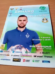 Кубок России. Динамо Самара - МФК Тюмень. 19 ноября 2020 год