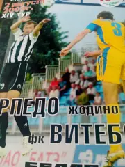 Торпедо Жодино - ФК Витебск. 2 августа 2009 год