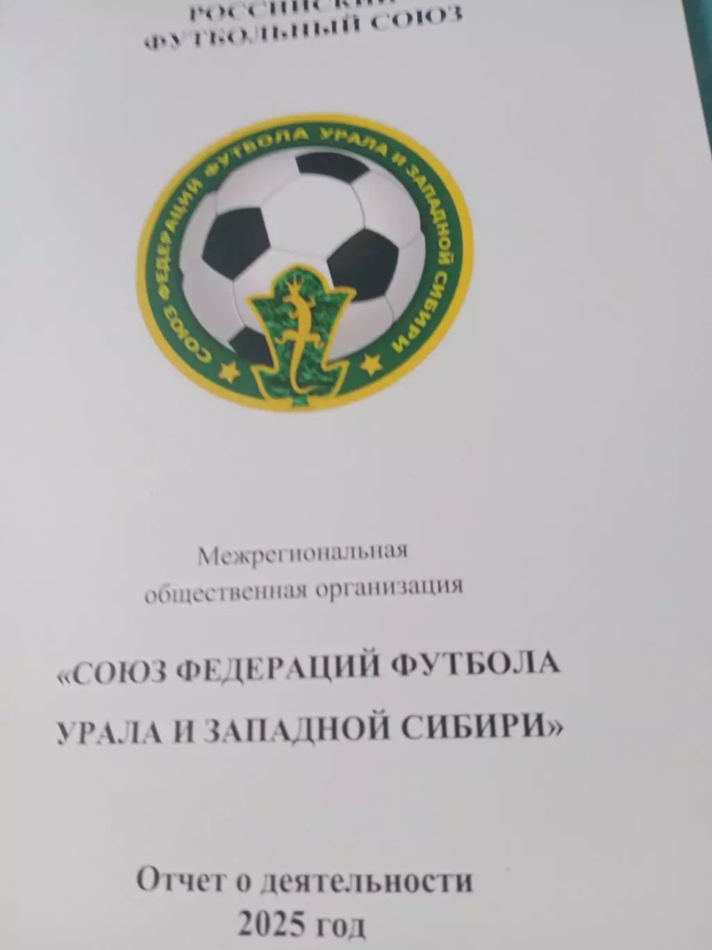 Отчет о работе за 2025 год, РФС