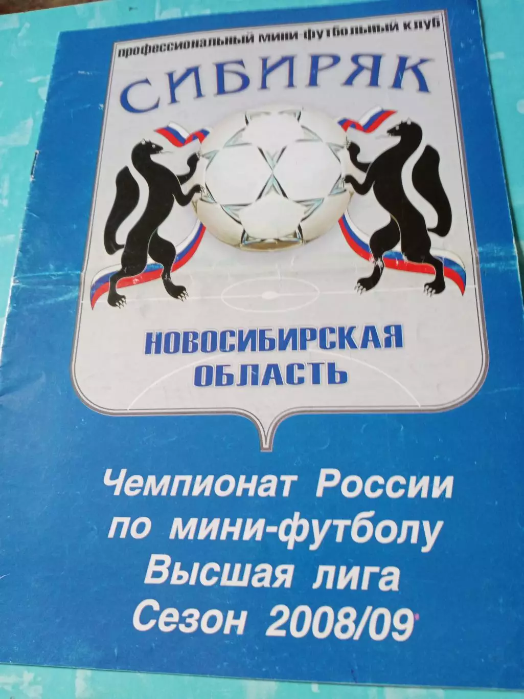 МФК Сибиряк Новосибирск. Сезон-2008/2009 - Без скидок