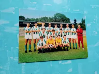 ФК Рапид Вена, 1988/1989