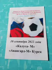ФК Калуга-М - Авангард-М Курск. 10 сентября 2022 год